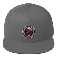 DIMExBAG FRONT LOGO FLAT BILLED HAT